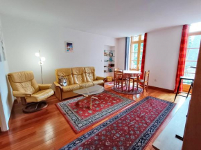 Le nid d'oeillet, T3 bis, wifi, jardin commun Bagnères-De-Luchon